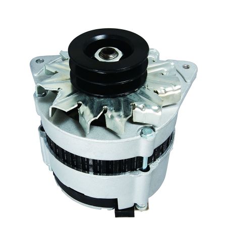 Buy Alternator 2871A163 2863A002 2871W012 2871A154 2871A154 2871A148 for Perkins Engine 1004-4 1004-4T 135Ti 135Ti 1004G 1004-40 1004-40T 1004-40TW 1004-42 from YEARNPARTS store
