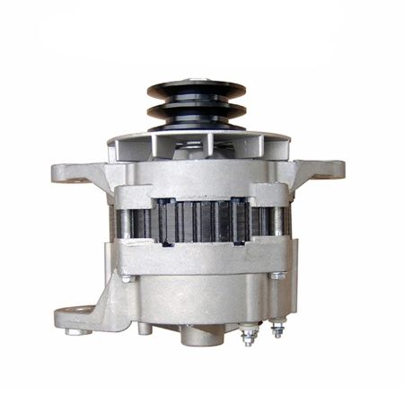 Buy Alternator 21E6-40030 21E6-40011 21EA-00040 for Hyundai Excavator R130LC R130LC-3 R130W R130W-3 R160LC-3 R170W-3 R180LC-3 R200W/R200W-2 R200W-3 R210LC-3 R210LC-3_LL R250LC-3 R280LC R290LC from YEARNPARTS store