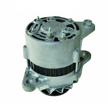 Buy Alternator 600-821-6120 for Komatsu BR100J-1 BR100JG-2 BR200J-1 BR200R-1 BR200S-1 JV100A-2T PF5-1 PW200-1 PW210-1 Engine 4D95L S6D102E S6D95L from YEARNPARTS store