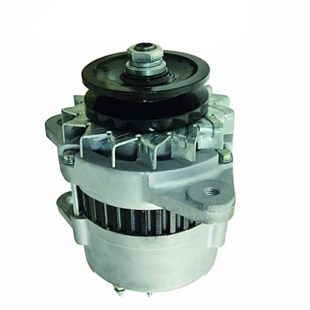Buy Alternator 600-821-6120 for Komatsu PC100-5 PC120-5 PC130-5 PC130-7 PC200-3 PC200-5 PC220-3 PC220-5 Engine 4D95L S6D95L S6D105 from YEARNPARTS store
