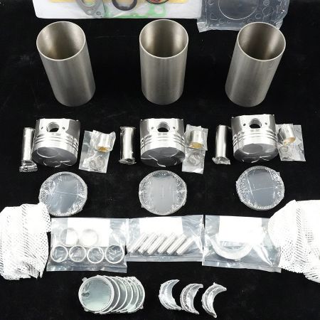 D1005-A Overhaul Rebuild Kit for Kubota Engine D1005-A