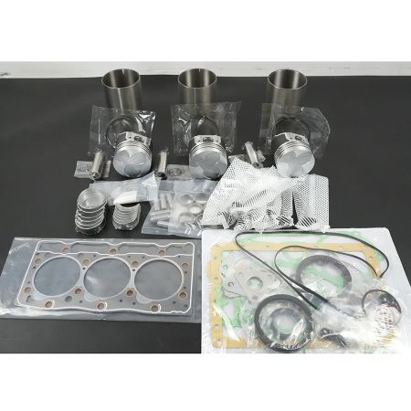 D1005-D Overhaul Rebuild Kit for Kubota Engine D1005-D