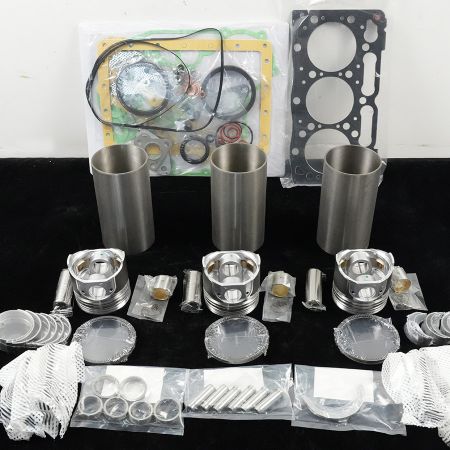 D1005-E Overhaul Rebuild Kit for Kubota Engine D1005-E