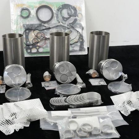 D902-E3 Overhaul Rebuild Kit for Kubota Engine D902-E3