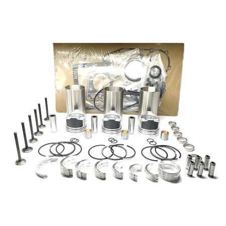 Kit de reconstruction de révision de moteur S3L2 pour pelle Caterpillar CAT 302.5C avec Mitsubishi S3L2