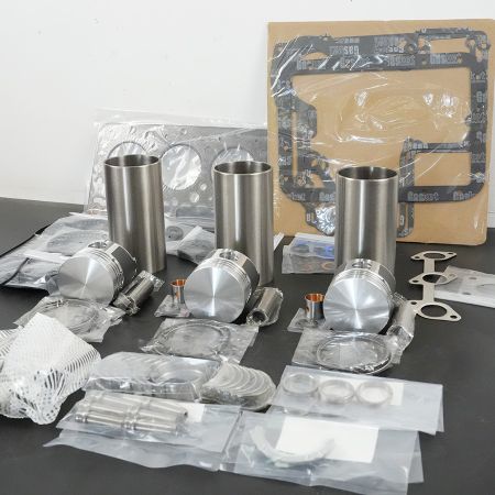 D650-B Overhaul Rebuild Kit for Kubota Engine D650-B