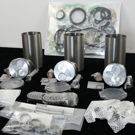 D902 Engine Overhual Rebuild Kit for Case CX17C Excavator with Kubota D902