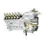 Fuel Inection Pump XCAF-00514 for Hyundai Loader SL763(#0501-) SL763S SL765 SL765S