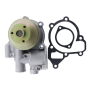 Water Pump 750-40621 750-40624 750-42730 751-41021 751-41022 for Lister Petter Alpha LPW LPWS LPWT