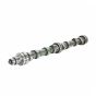 Camshaft 129900-14010 for Hyundai R55-3 R55W-3 HSL810 Yanmar 4TNE94 Engine
