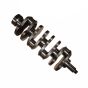 Crankshaft 289642A1 for Case Excavator CX135SR