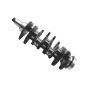 Crankshaft 32A20-00014 32A20-00080 32A20-00010 32A20-00052 for Mistubishi S4S TCM F18B F18C Engine