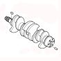Crankshaft 65.02101-6013A 65.02101-0040E for Doosan Daewoo Excavator SOLAR 50W-III