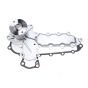 Water Pump 6684225 6653941 for Bobcat Excavator 225 325 328 331 334 337 341