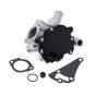 Water Pump VV11924442001 VV11923342000 for Case Excavator CX14