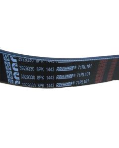 belt-3911568-3929330-c3288790-8pk-1443-for-cummins-engine-4bt-6bt-6ct-6lta